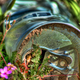 Illustration for article titled Shooting Challenge: HDR Gallery Part 2
